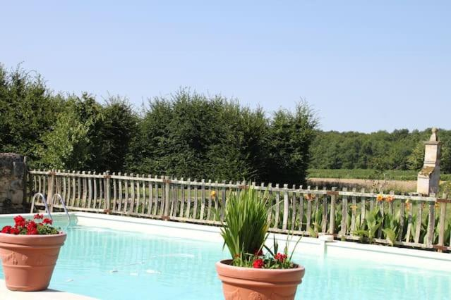 Sport & Beauty, Chateau De Castelneau, Gironde