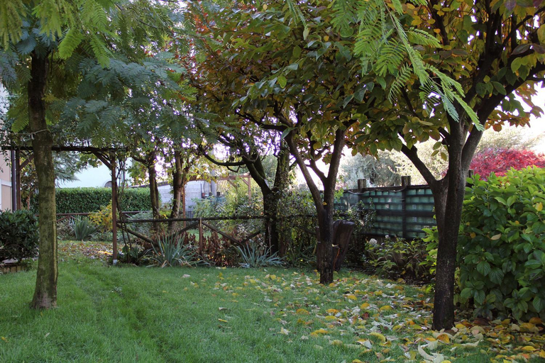 Others 5, Il Giardino, Brescia
