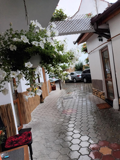 Others 4, Amaraz Center, Sibiu