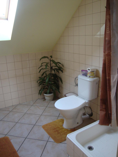 Bathroom 3, Petrovicky mlyn, Kutná Hora