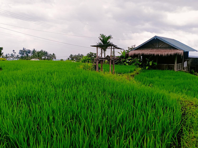 Scenery 5