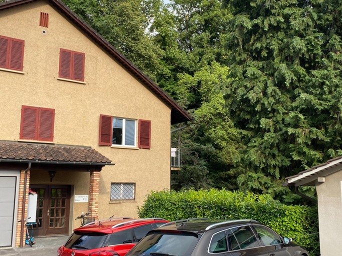Beautiful flat with nice lake and mountain views, Luzern