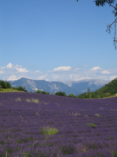 Others 5, Les Vieux Murs, Alpes-de-Haute-Provence