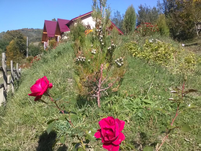Others 3, Casa cu Muscate, Vidra