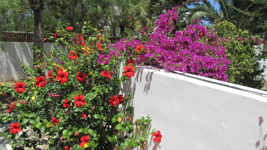 Others 4, Villa Ca Daniela, Baleares