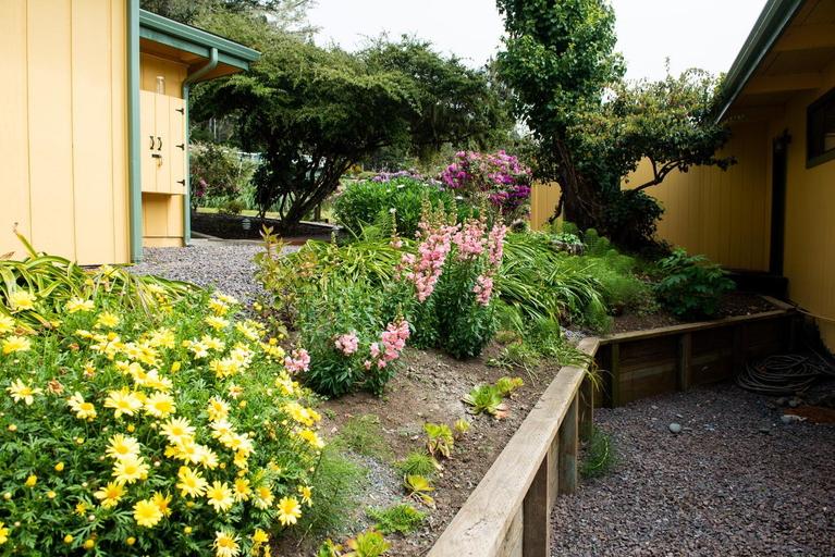 Others 5, Inn at Buckhorn Cove, Mendocino