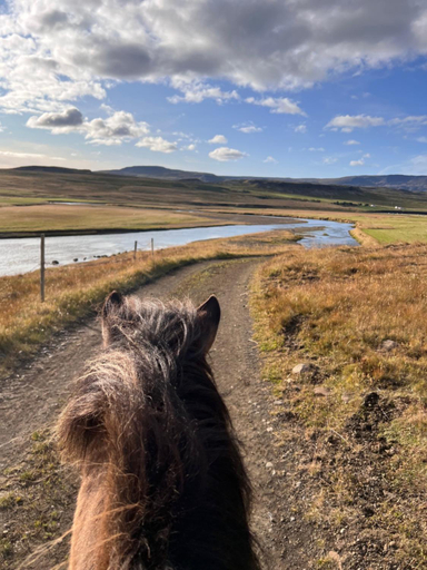 Others 4, Stora-Asgeirsa Horse Farm Stay, Húnaþing vestra