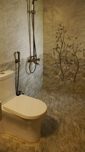Bathroom 4, The Citiotel, Pune