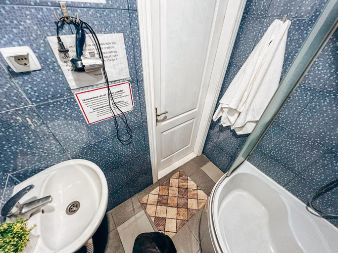Others 3, Mini-hotel in the heart of Kiev, Holosiïvs'kyi