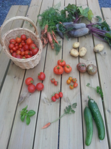 Food & Drinks, Roskilde B&B, Roskilde