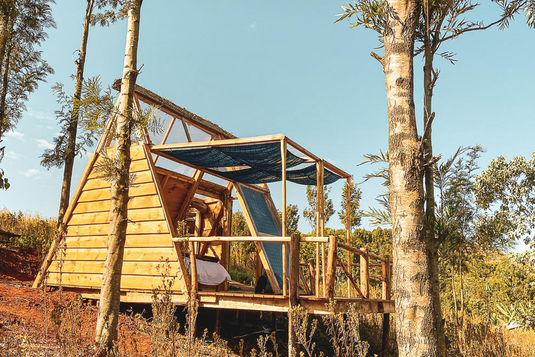 Others 5, Foresight Eco Lodge & Safari, Karatu