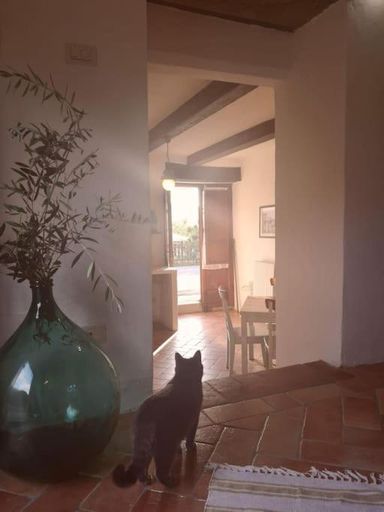 Fantastic Apartment in the Heart of Toscana, Arezzo