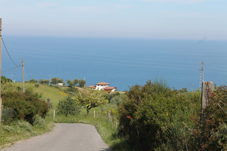Others 3, B&B Villa Sveva, Cosenza