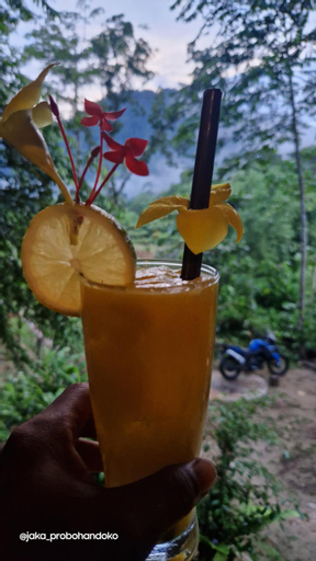 Food & Drinks