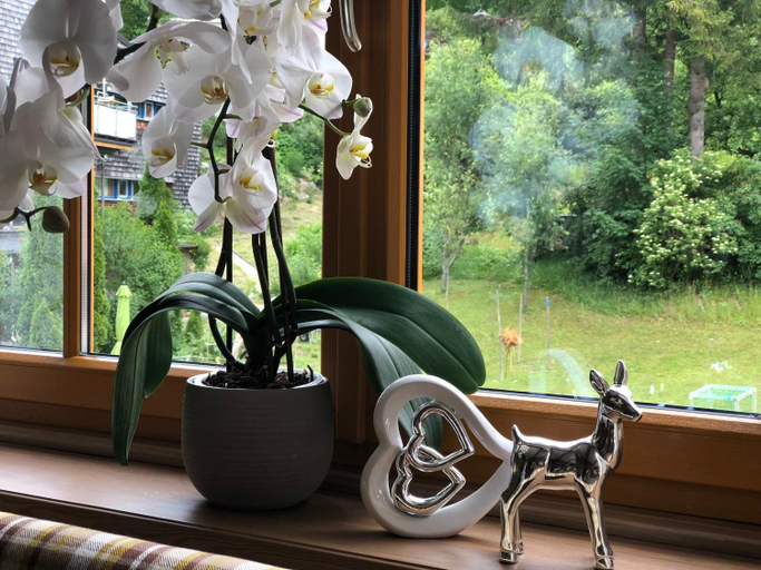 Food & Drinks 3, Gasthof Botenwirt, Salzburg Umgebung