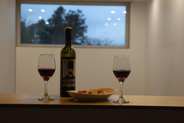 Food & Drinks 5, Muah Villa, Jeju