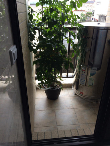 Others 5, Traveler B&B, Yilan