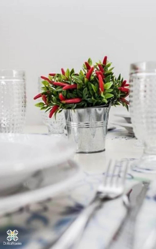 Food & Drinks, Di Raffaele Bombinhas, Bombinhas