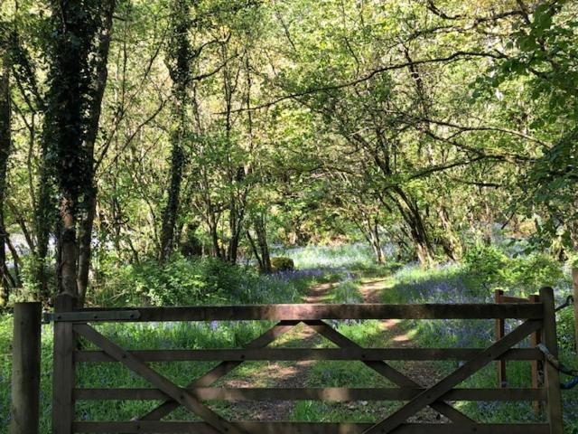 Others 5, Down The Garden Path Vintage Caravan B&B , Dartmoor, Devon