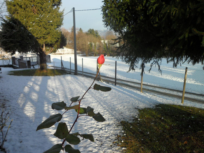 Others 2, B&B Cuei di Baret, Udine