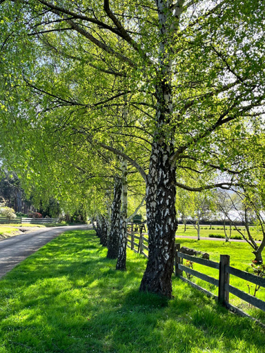 Others 3, Green Gables B&B, Huon Valley