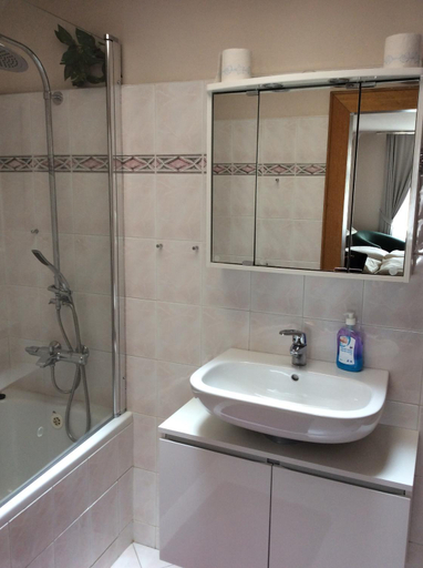 Bathroom 3, Hotel U Zlateho Andela, Pardubice