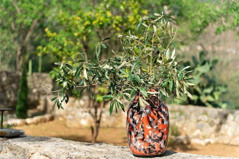 Others 5, The Blooming House, Ionian Islands