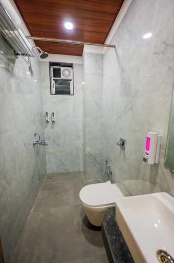 Bathroom 3, Lotus Leaf, Raigarh