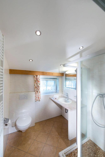 Bathroom 3, Ferienhotel Alpenhof, Kitzbühel