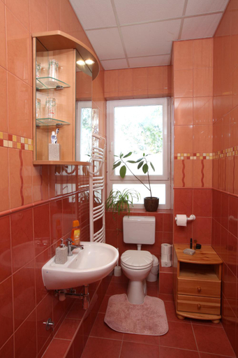 Bathroom 2, Airport Szallo, Ráckeve