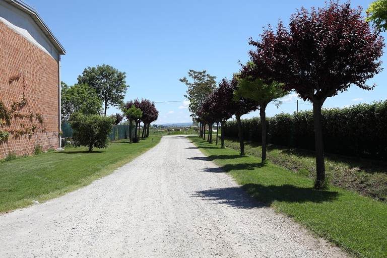 Others 5, Al Casale B&B, Cuneo