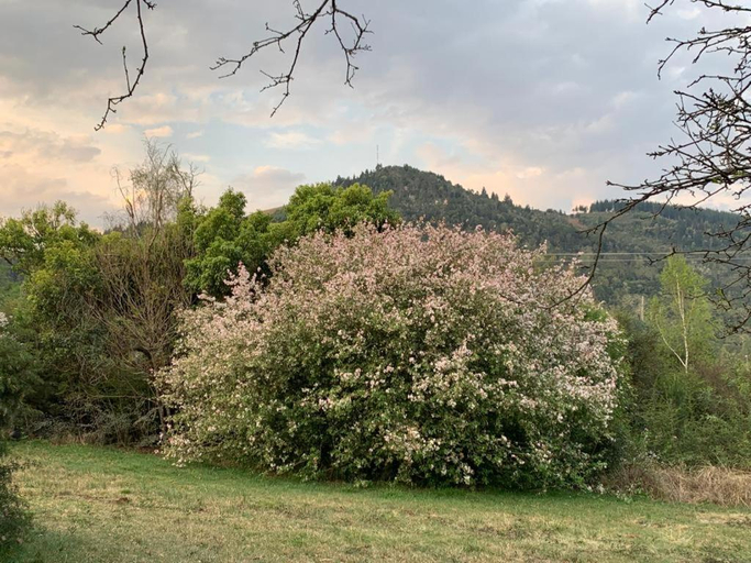 Others 4, Laragh-on-Hogsback, Amathole