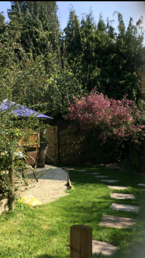Others 5, Cherryberry Lodges, Monmouthshire
