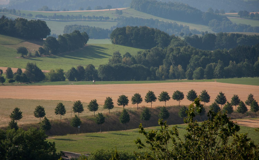 Others 5, Landgasthof Dittersdorfer Hohe, Erzgebirgskreis