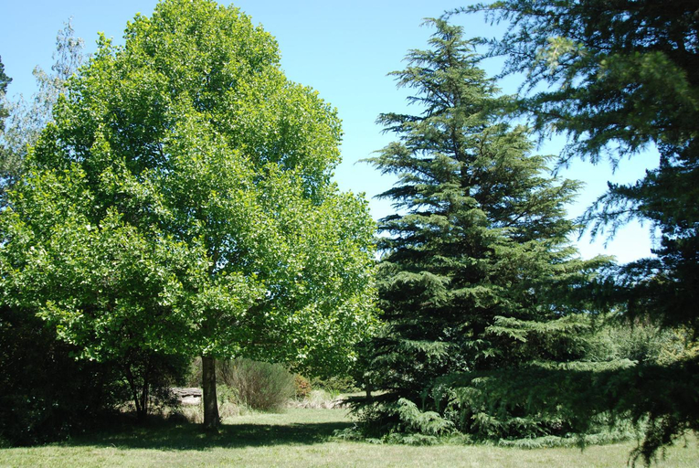 Others 5, Laragh-on-Hogsback, Amathole