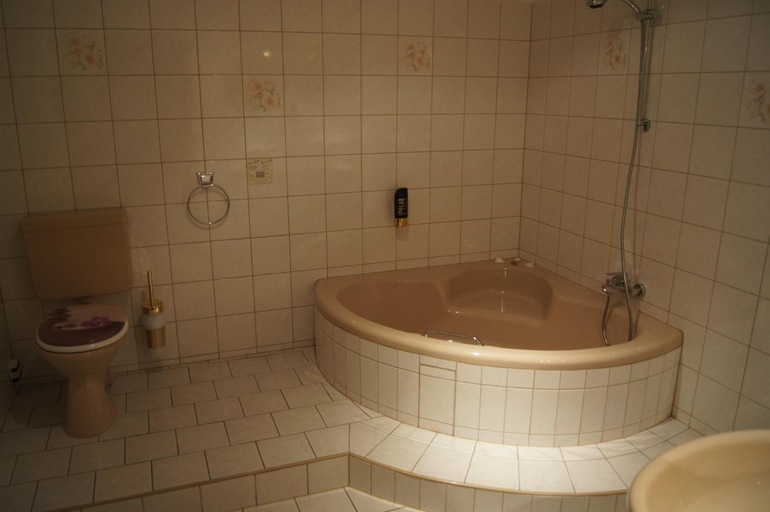 Bathroom 5, Hotel Draschwitz, Burgenlandkreis