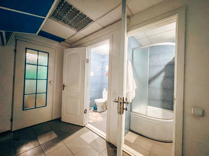 Others 5, Mini-hotel in the heart of Kiev, Holosiïvs'kyi
