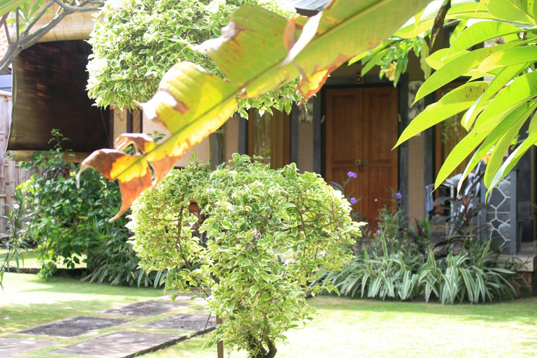 Pondok Shindu Guest House Diskon s.d 50% - Promo Terbatas