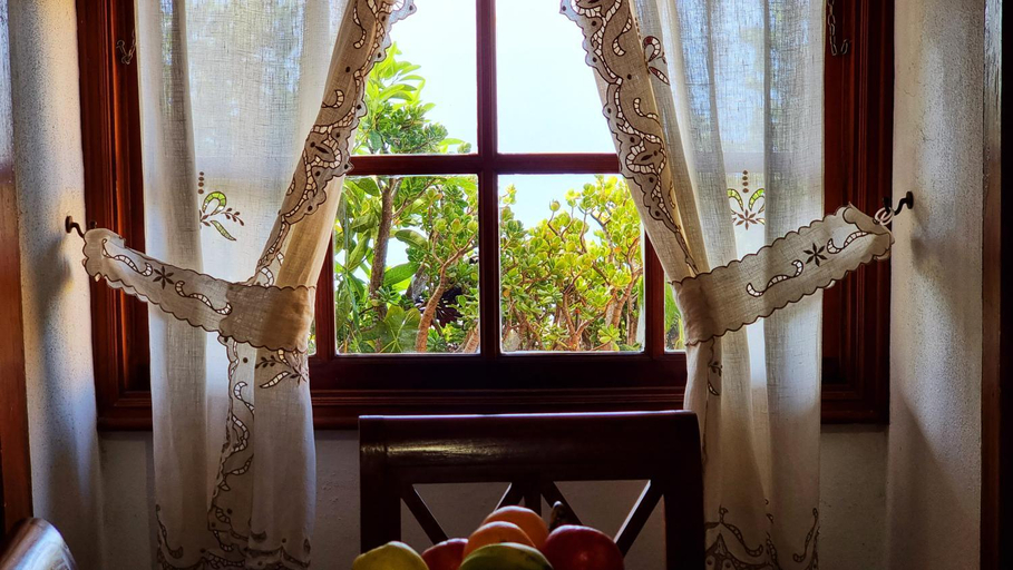 Others 4, Manuela, Santa Cruz de Tenerife