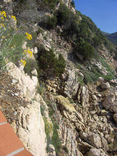 Others 5, Cota Quinta, Livorno