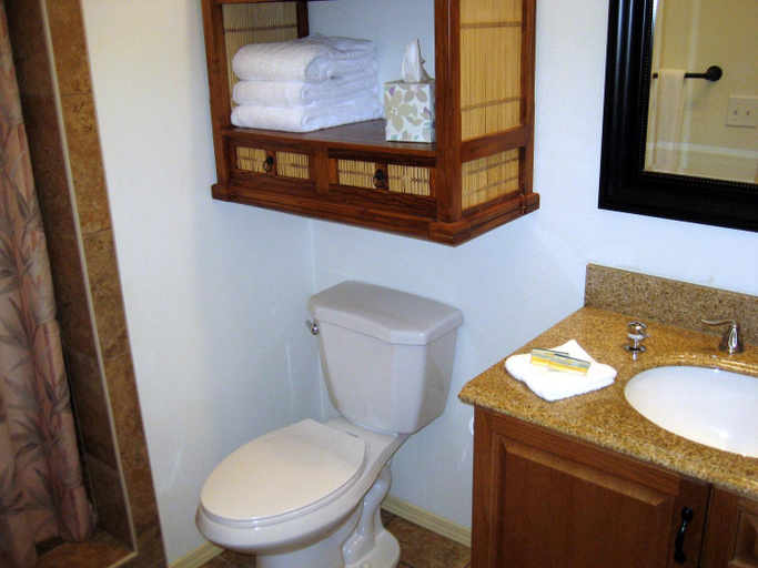 Bathroom 1, Keaau Place, Hawaii