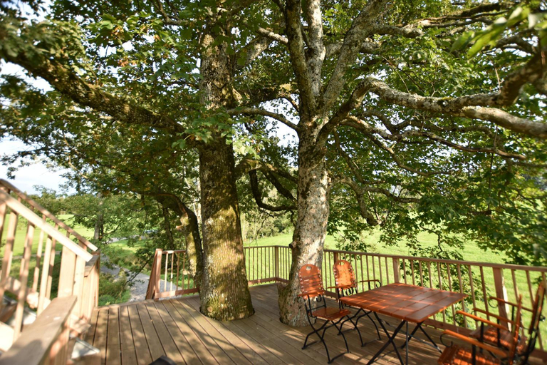 Garden, Ferienhof und Baumhaushotel, Oberallgäu