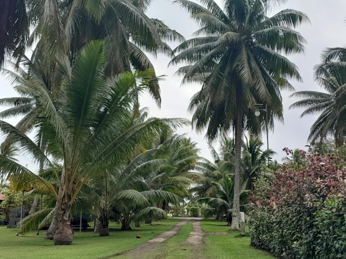 Others 4, CHEZ VAIANA