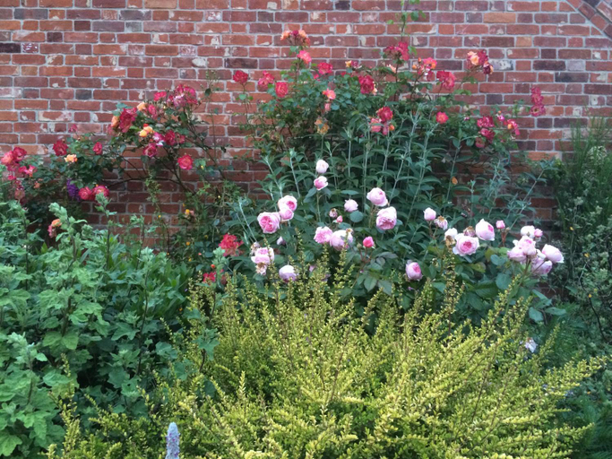 Others 4, the Orangery Suites, Norfolk