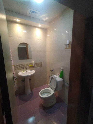 Bathroom 5, Hassani, Dubai