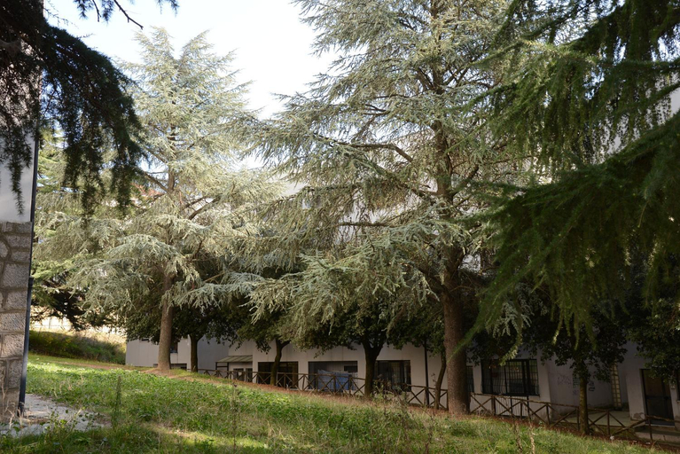Others 5, B&B Europa, Potenza