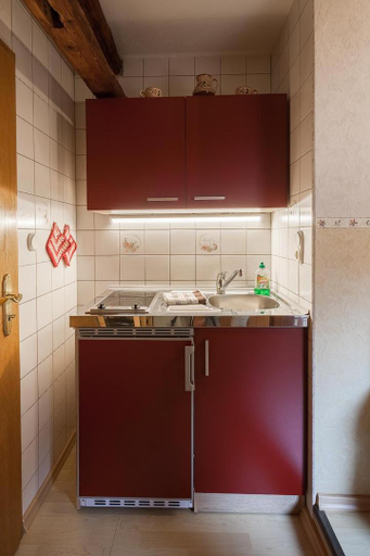 Others 5, Apartments "Vier Napoleonslinden", Weimarer Land