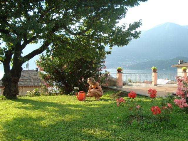 Others 2, B&B Cherry En Rose, Como