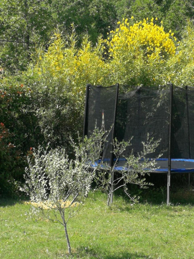 Others 5, Bastide Provencale Les Muriers d'Engaspaty, Var