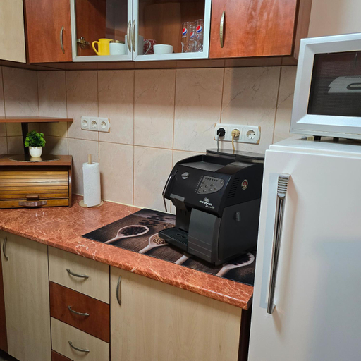 Others 2, La Dragos Studio 01 - Apartament, Satu Mare